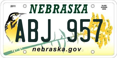 NE license plate ABJ957