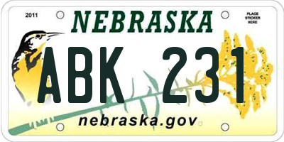 NE license plate ABK231