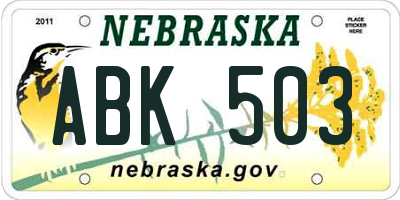 NE license plate ABK503