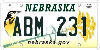 NE license plate ABM231