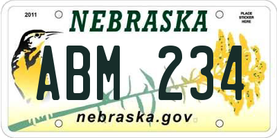 NE license plate ABM234
