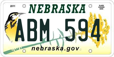 NE license plate ABM594