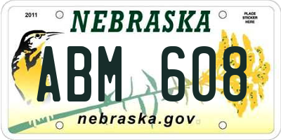 NE license plate ABM608