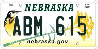 NE license plate ABM615