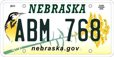 NE license plate ABM768