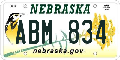 NE license plate ABM834