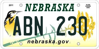 NE license plate ABN230