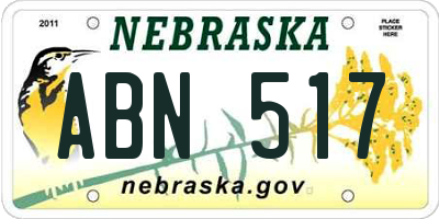 NE license plate ABN517