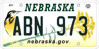 NE license plate ABN973