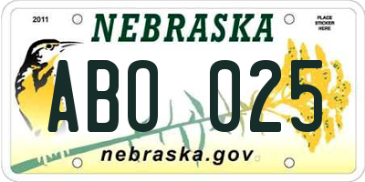 NE license plate ABO025