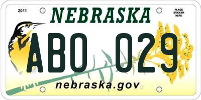 NE license plate ABO029