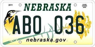 NE license plate ABO036