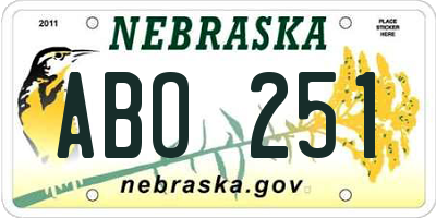 NE license plate ABO251