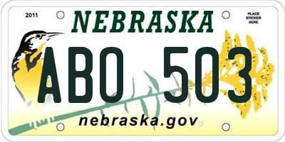 NE license plate ABO503