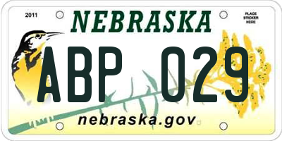 NE license plate ABP029