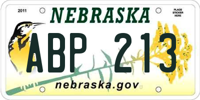 NE license plate ABP213