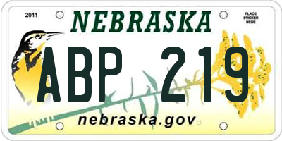 NE license plate ABP219