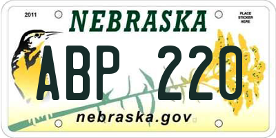 NE license plate ABP220