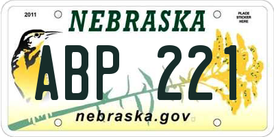 NE license plate ABP221