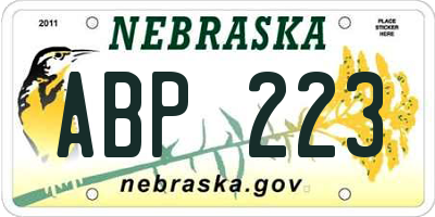 NE license plate ABP223