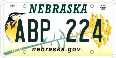 NE license plate ABP224