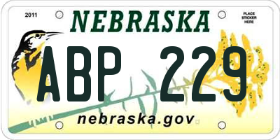 NE license plate ABP229