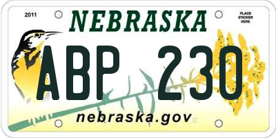 NE license plate ABP230