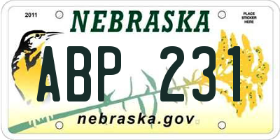 NE license plate ABP231