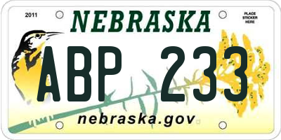 NE license plate ABP233
