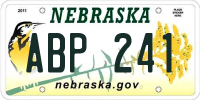 NE license plate ABP241