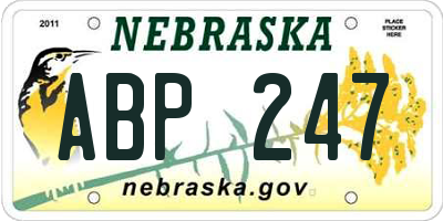 NE license plate ABP247
