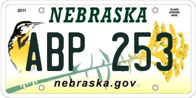NE license plate ABP253