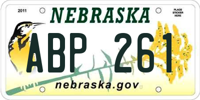 NE license plate ABP261