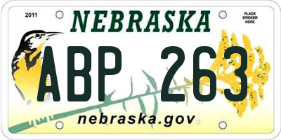 NE license plate ABP263
