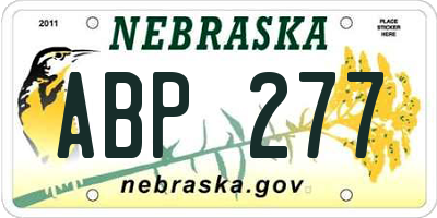 NE license plate ABP277