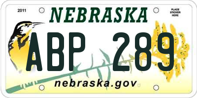 NE license plate ABP289