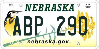 NE license plate ABP290