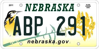 NE license plate ABP291