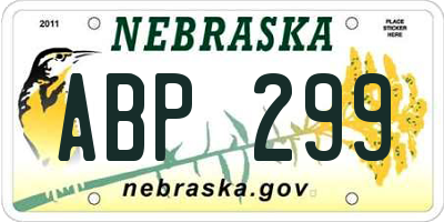 NE license plate ABP299