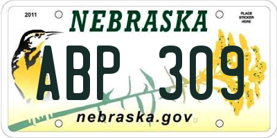 NE license plate ABP309