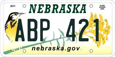 NE license plate ABP421