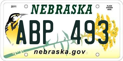 NE license plate ABP493