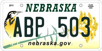 NE license plate ABP503