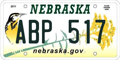 NE license plate ABP517