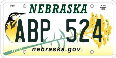 NE license plate ABP524