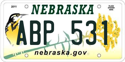 NE license plate ABP531