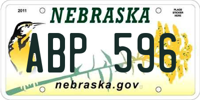 NE license plate ABP596