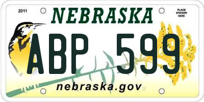 NE license plate ABP599