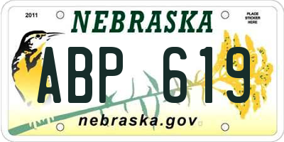 NE license plate ABP619