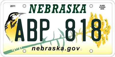 NE license plate ABP818